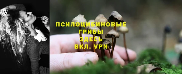 МДПВ Абдулино