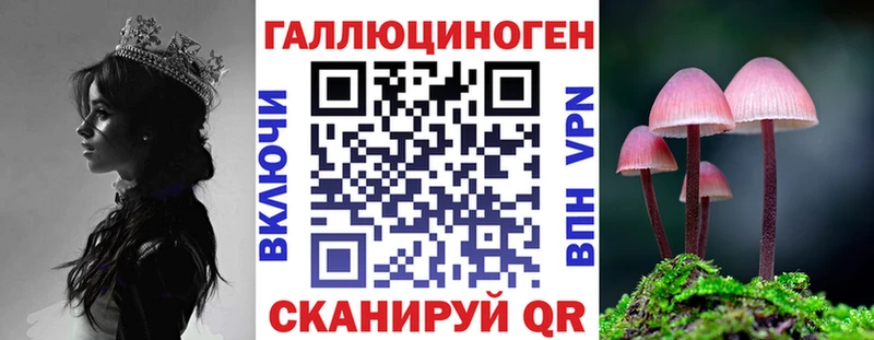 Галлюциногенные грибы Cubensis  Торопец 