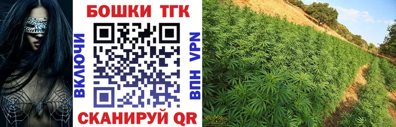 darknet наркотические препараты  Торопец  Шишки марихуана AK-47  купить  сайты 